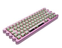 Load image into Gallery viewer, Luna Keyboard | DZ60